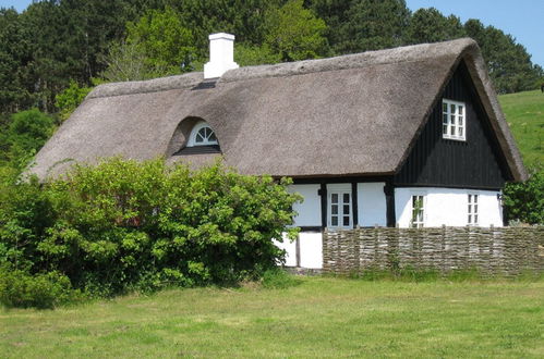 Photo 1 - Maison de 2 chambres à Knebel avec terrasse