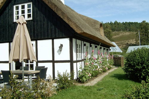 Foto 14 - Haus mit 2 Schlafzimmern in Knebel mit terrasse