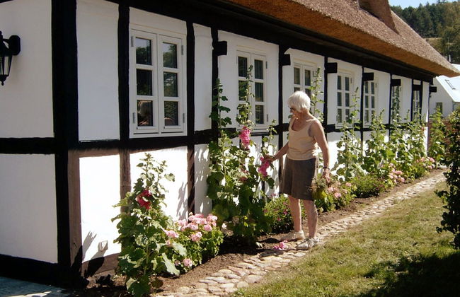 Casa de 2 quartos em Knebel com terraço - Foto 26