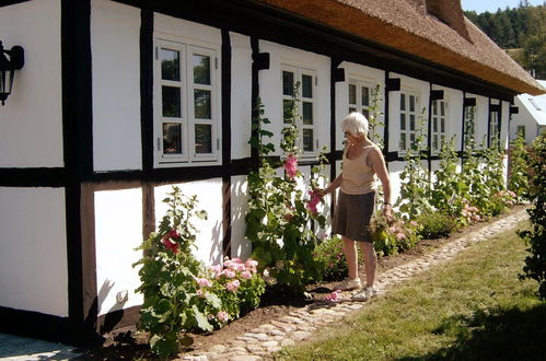 Photo 2 - Maison de 2 chambres à Knebel avec terrasse