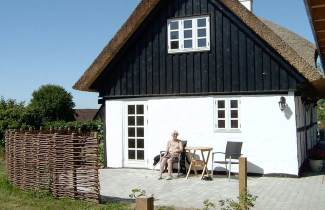 Casa de 2 quartos em Knebel com terraço - Foto 9