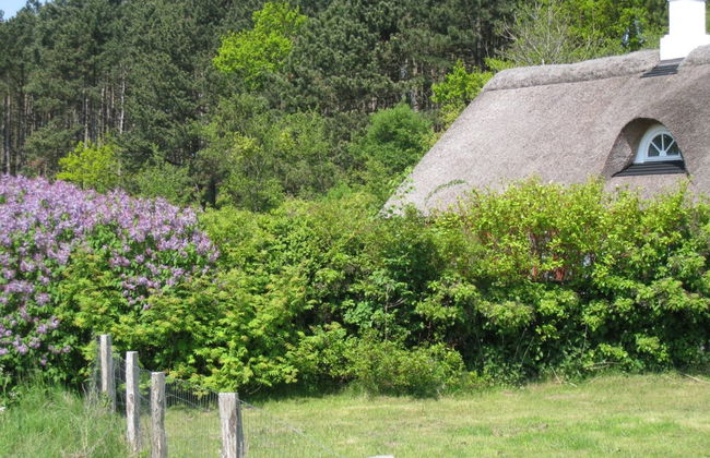 Casa de 2 quartos em Knebel com terraço - Foto 13
