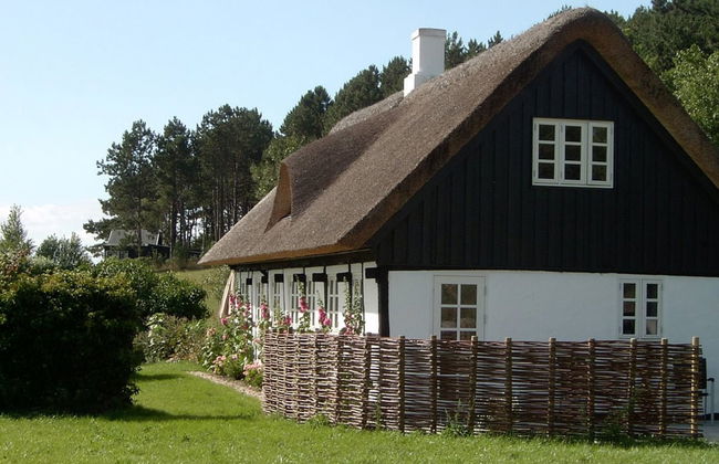 Casa de 2 quartos em Knebel com terraço - Foto 10