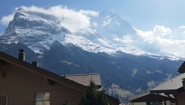 Apartamento de 3 quartos em Grindelwald - Foto 5