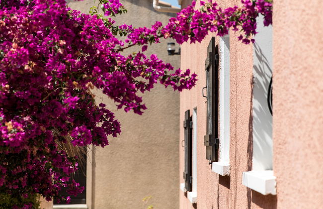 Apartment mit 3 Schlafzimmern in Saint-Florent mit schwimmbad und garten - Foto 3