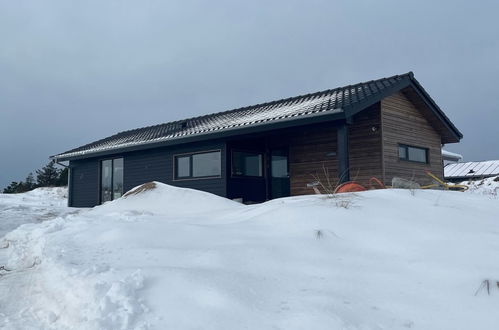 Photo 1 - Maison de 3 chambres à Bindslev avec terrasse et sauna