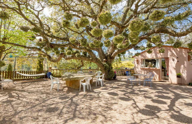 Casa de 5 quartos em Le Tignet com piscina privada e jardim - Foto 3