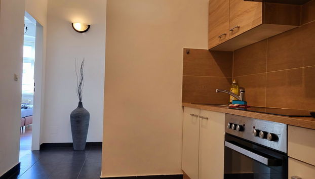 Real Living Apartments Vienna - Schweglerstrasse - Foto 2