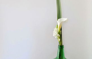 Foto 25 - Os Lambráns