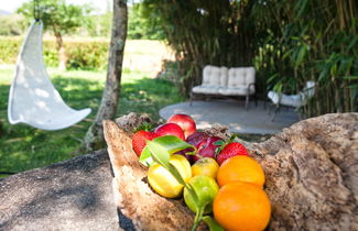 Foto 6 - Os Lambráns