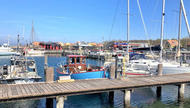 Haus mit 3 Schlafzimmern in Tranekær mit terrasse - Foto 4