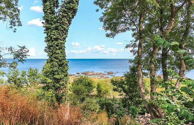 "Nyyrikki" - 100m from the sea - Foto 34