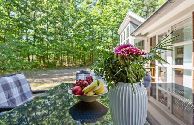 "Dafne" - 600m from the sea - Foto 6