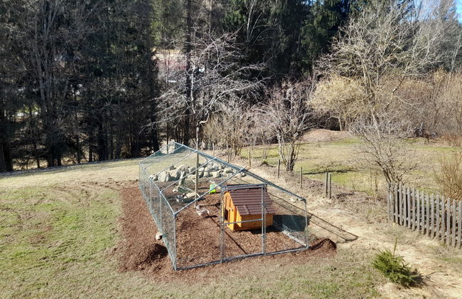 Casa de 4 quartos em Spiegelau com piscina e jardim - Foto 23