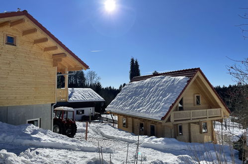 Foto 44 - Casa de 3 quartos em Spiegelau com piscina e vista para a montanha