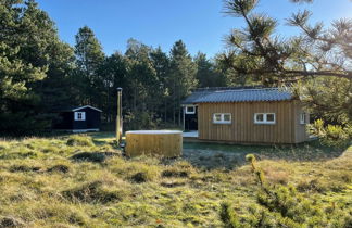Photo 2 - Maison de 2 chambres à Blåvand avec terrasse et bain à remous
