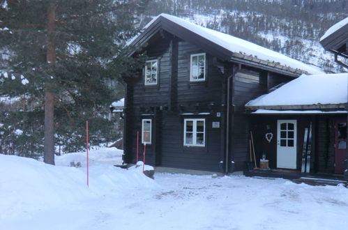 Foto 45 - Haus mit 4 Schlafzimmern in Vrådal mit garten und terrasse