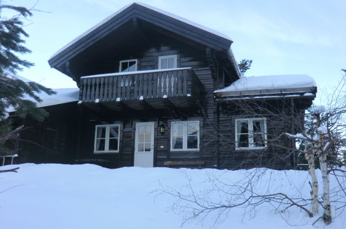Foto 48 - Haus mit 4 Schlafzimmern in Vrådal mit terrasse