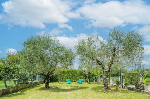 Foto 37 - Appartamento con 3 camere da letto a Massarosa con giardino e terrazza