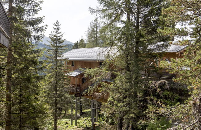 Casa de 5 quartos em Stadl-Predlitz com jardim e sauna - Foto 2