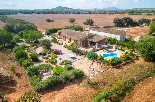 Foto 32 - Casa de 3 quartos em Felanitx com piscina privada e jardim