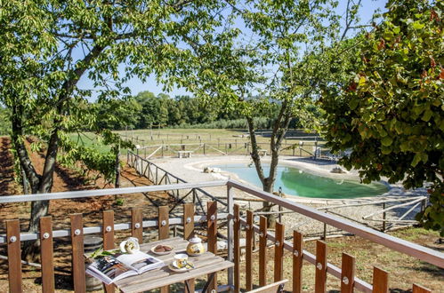 Foto 6 - Casa de 4 quartos em Gavorrano com piscina privada e jardim