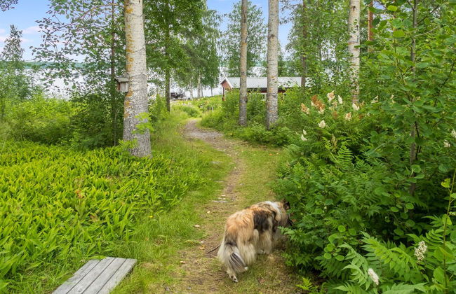 Haus mit 2 Schlafzimmern in Sotkamo mit sauna - Foto 19