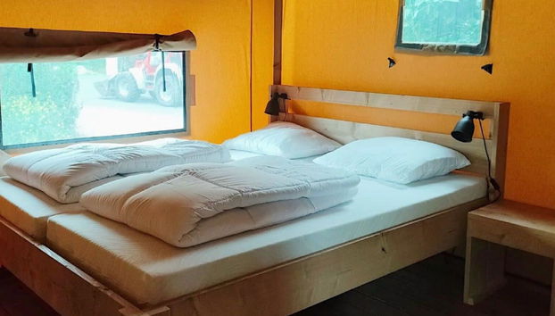 Haus mit 1 Schlafzimmer in Noord-Scharwoude mit schwimmbad und garten - Foto 4