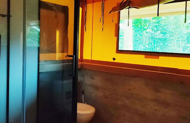 Casa de 1 quarto em Noord-Scharwoude com piscina e jardim - Foto 6