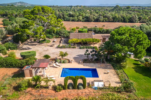 Photo 34 - Maison de 2 chambres à Porreres avec piscine privée et jardin