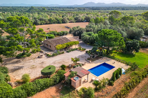 Photo 3 - Maison de 2 chambres à Porreres avec piscine privée et jardin