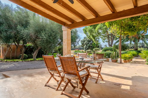 Photo 18 - Maison de 2 chambres à Porreres avec piscine privée et jardin