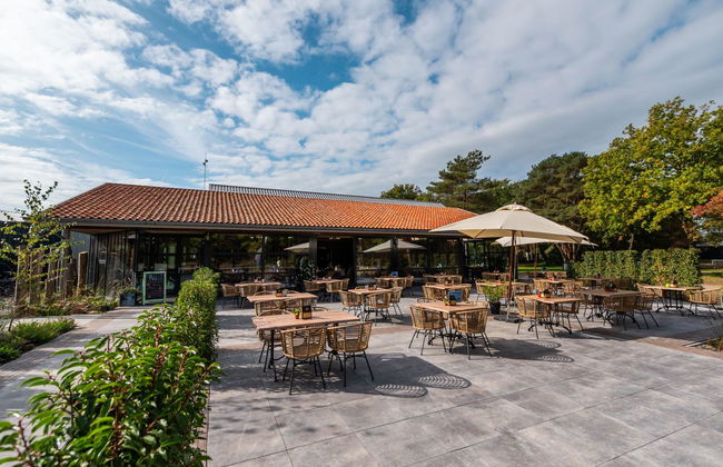 Casa de 2 quartos em Ruinen com piscina e terraço - Foto 14