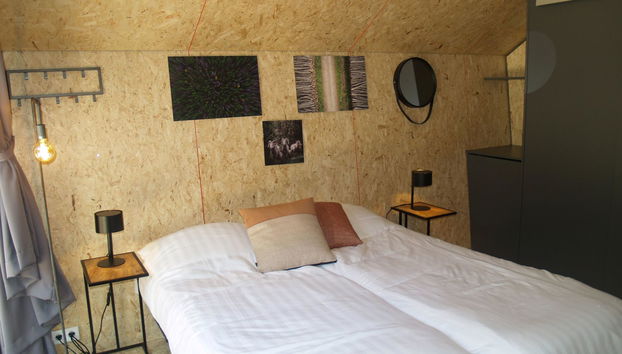 Casa de 2 quartos em Ruinen com piscina e terraço - Foto 3