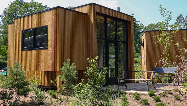 Photo 1 - Maison en Hulshorst avec piscine et terrasse