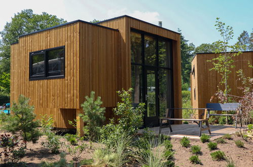 Photo 13 - House in Hulshorst with swimming pool and terrace