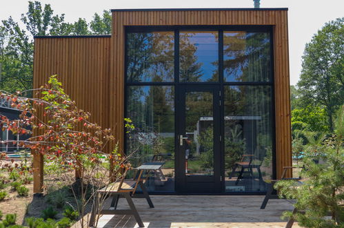 Photo 2 - Maison en Hulshorst avec piscine et terrasse