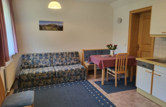 Appartement de 1 chambre à Spiss avec jardin - Photo 4