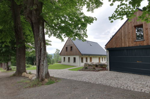 Foto 26 - Apartamento de 2 quartos em Kořenov com terraço