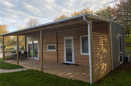 Foto 4 - Casa de 3 quartos em Biddinghuizen com piscina e terraço