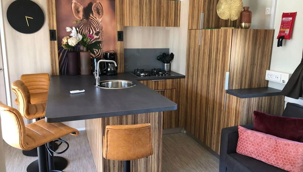 Casa de 2 habitaciones en Nunspeet con piscina y terraza - Foto 2