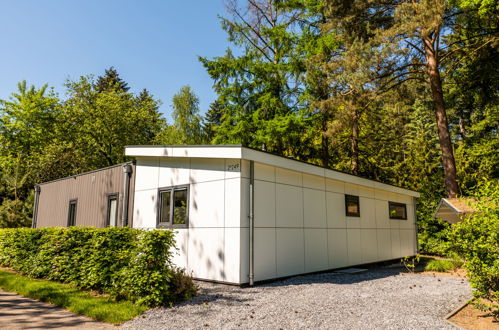 Foto 7 - Casa de 3 quartos em Lochem com piscina e terraço