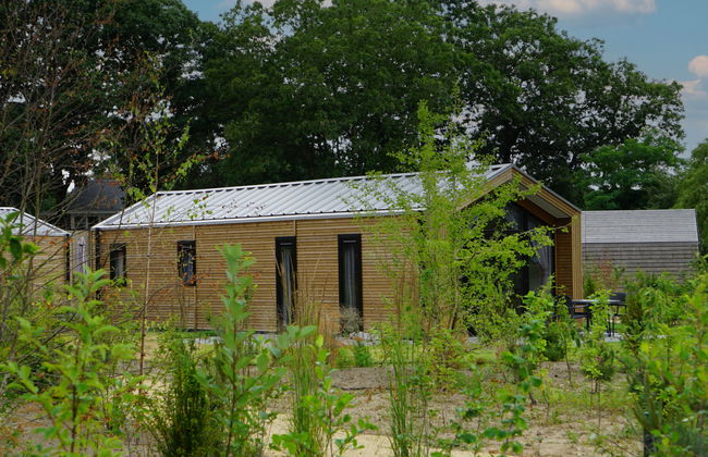 Casa de 3 quartos em Otterlo com piscina e terraço - Foto 9