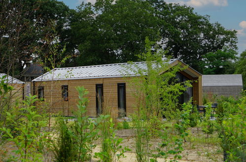 Photo 9 - Maison de 2 chambres à Otterlo avec piscine et terrasse