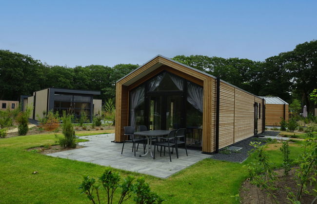 Casa de 3 quartos em Otterlo com piscina e terraço - Foto 6