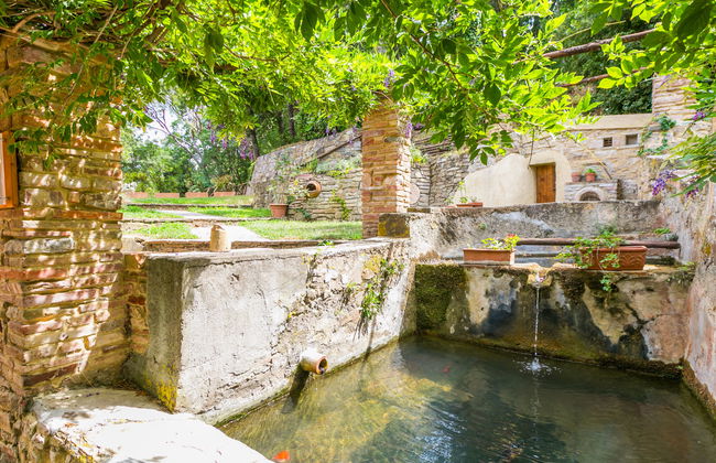 Casa de 2 quartos em Castagneto Carducci com piscina e jardim - Foto 59
