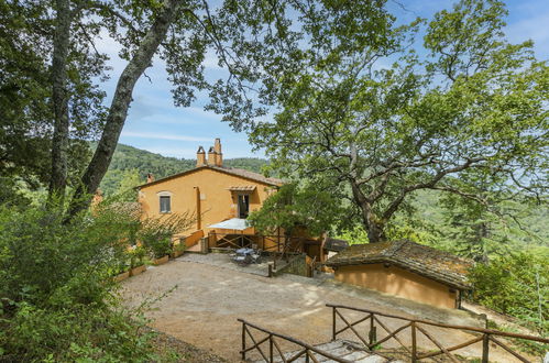 Photo 38 - Maison de 1 chambre à Castagneto Carducci avec piscine et jardin