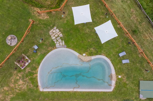 Foto 59 - Casa con 2 camere da letto a Castagneto Carducci con piscina e giardino