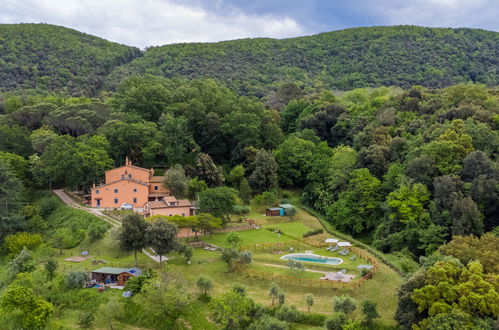 Foto 73 - Haus mit 1 Schlafzimmer in Castagneto Carducci mit schwimmbad und garten