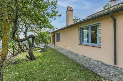 Photo 9 - Maison de 1 chambre à Castagneto Carducci avec piscine et vues à la mer